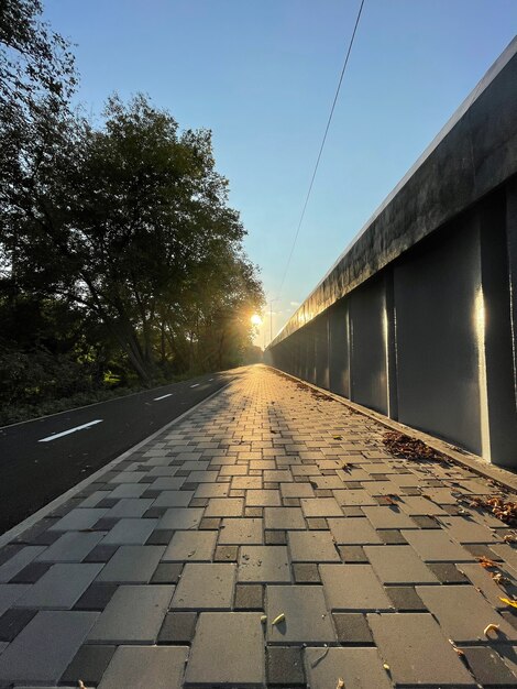 Piste cyclable en ville