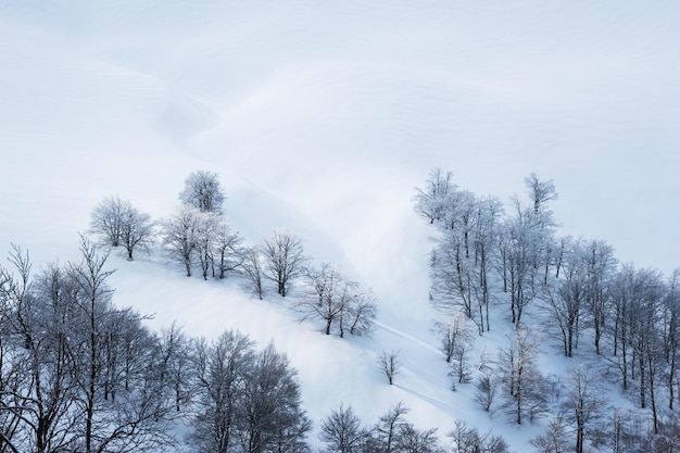 Piste d'hiver