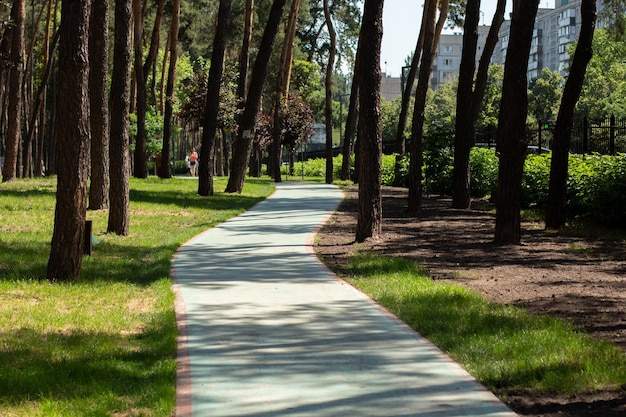 Piste de jogging dans parc de pins