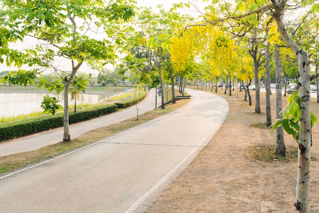 Piste de jogging pour faire de l&#39;exercice dans le parc public avec la belle cassaia fistua en fleurs