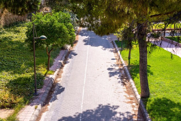 Piste piétonne et cyclable vide dans le parc de la ville par une journée ensoleillée