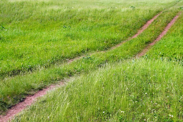 Piste sur pré vert