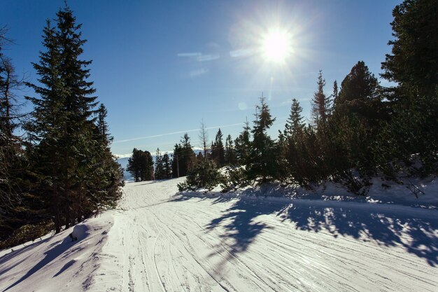 Piste de ski dans les montagnes des Hautes Tatras. Journée ensoleillée glaciale