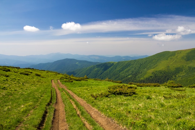 Piste de voiture de saleté sur la colline herbeuse verte menant à la crête des montagnes ligneuses sur un ciel bleu lumineux