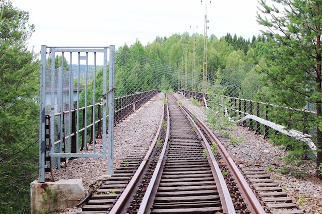 Pistes de chemin de fer dans la forêt