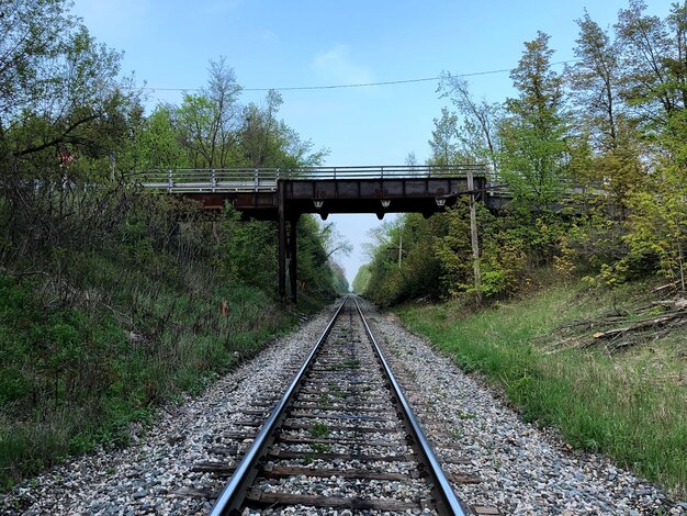 Pistes de chemin de fer le long des usines et du pont