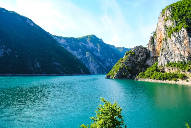 La pittoresque rivière Tara se jette dans les canyons