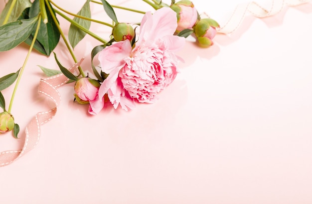 Pivoine rose blanche délicate avec pétales de fleurs et ruban blanc sur planche de bois. Vue de dessus aérienne, mise à plat. Espace de copie. Anniversaire, mère, Saint-Valentin, femme, concept de jour de mariage.