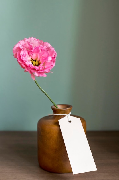 Pivoine rose dans un vase près du mur