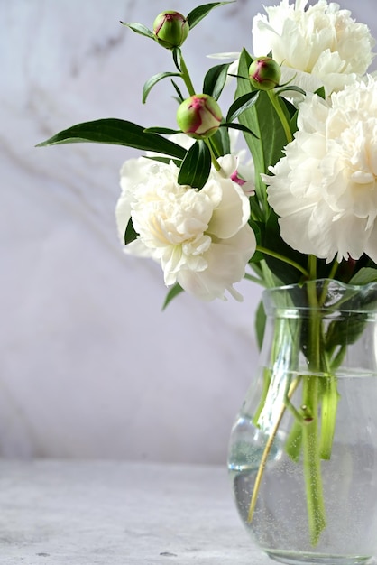 Pivoines dans un vase Pivoines blanches élégantes entre les mains d'un fleuriste La fleuriste a recueilli un bouquet Taille des fleurs blanches du printemps Un cadeau pour les vacances Floral frais