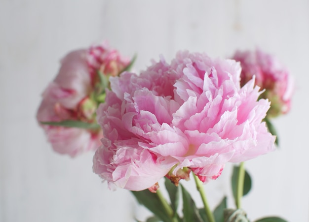 Pivoines fleurs blanc blanc vase thème de mariage