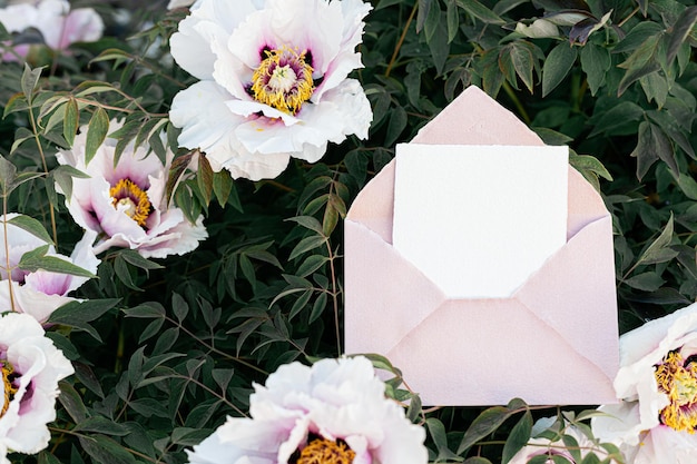 Photo pivoines fraîches dans le jardin maquette d'invitation de mariage