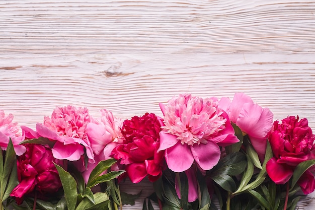 Pivoines roses sur bois gris