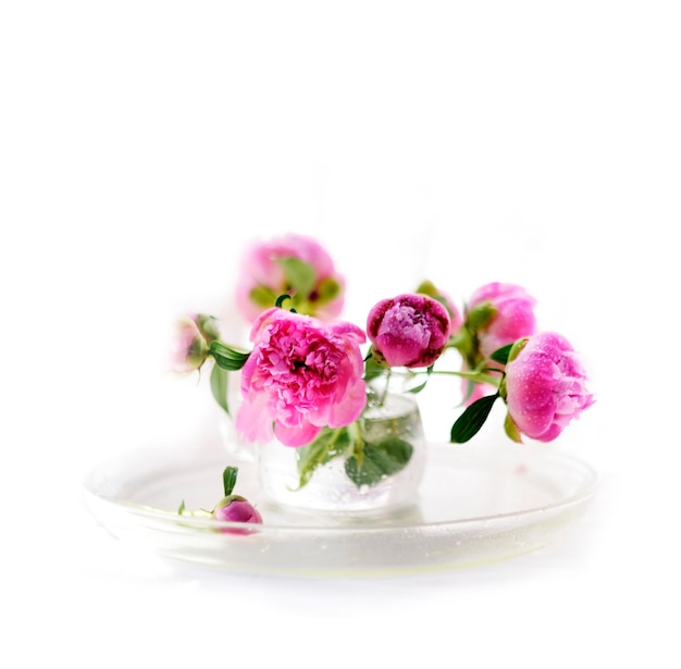 Pivoines roses dans un verre sur table fond flou blanc Bouquet de fleurs printanières soft focus