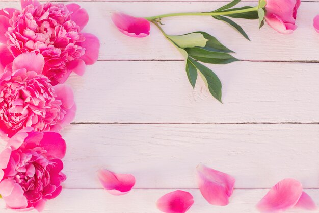 Pivoines roses sur fond de bois