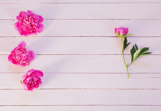 Pivoines roses sur fond de bois