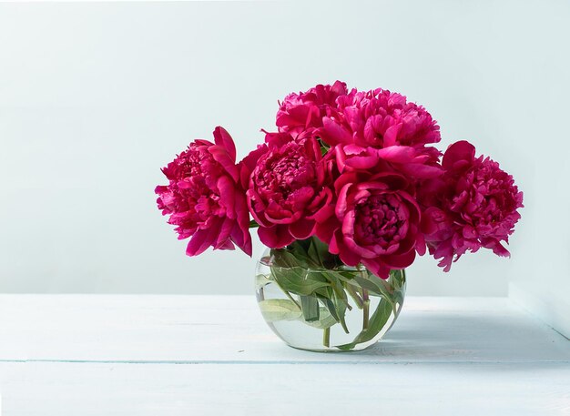 Des pivoines roses rouges dans un vase en verre se tiennent sur un fond bleu de table