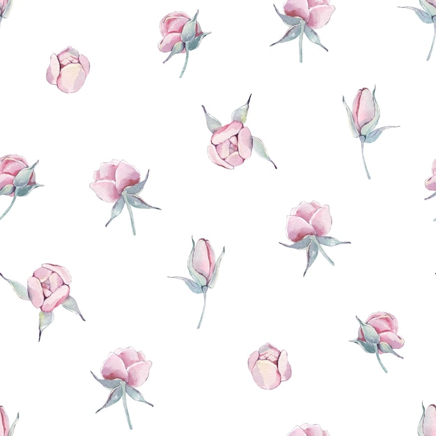 Pivoines roses vintage avec motif sans couture de branches isolées Illustration florale dessinée à la main à l'aquarelle sur fond blanc Pour l'anniversaire de la mère Saint-Valentin cartes d'amour