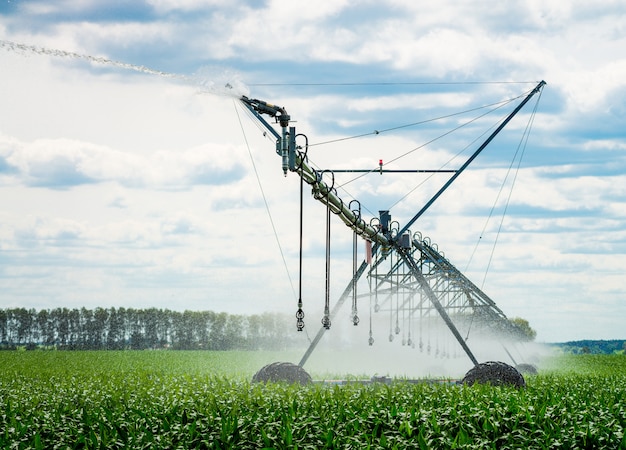 Un pivot d'irrigation arrosant un champ