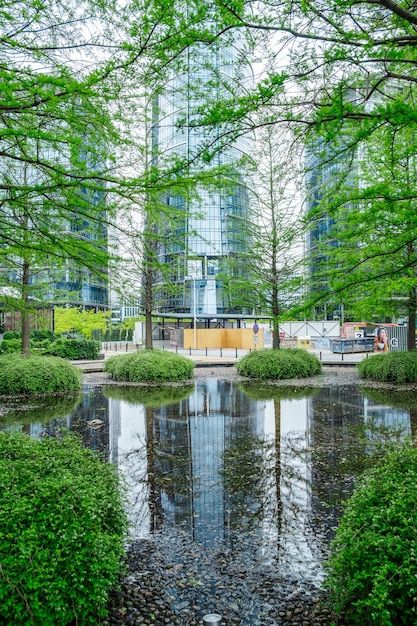 Place verte au milieu de la jungle urbaine