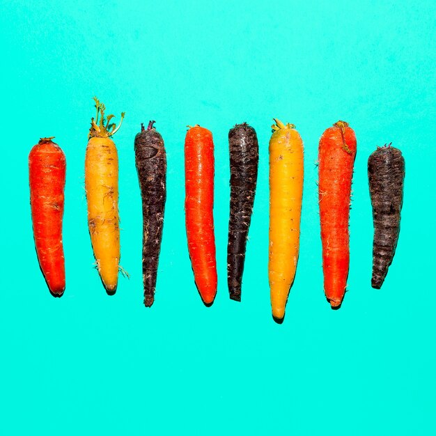 Placez les carottes. Conception d'art minimal