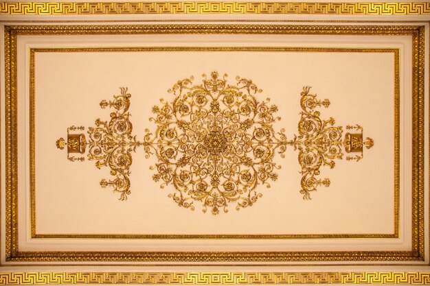 Plafond de l'intérieur de l'Armorial Hall de l'Ermitage à Saint-Pétersbourg Russie