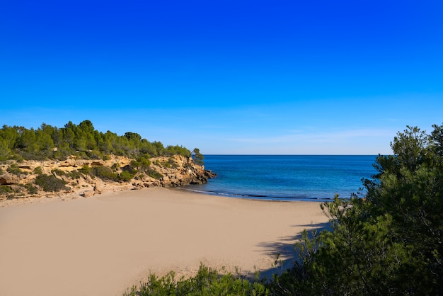 Photo plage ametlla l'ametlla de mar cala forn