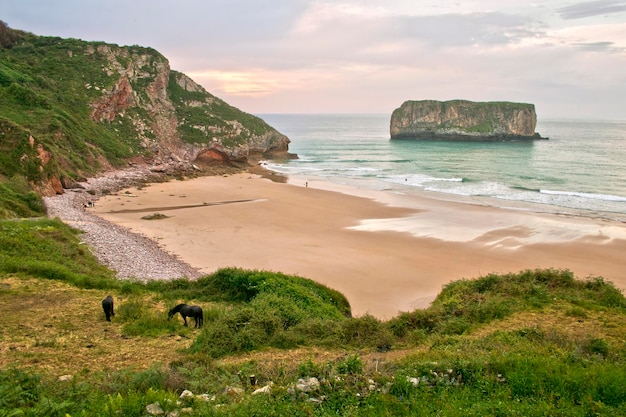 Photo plage d'andrin.