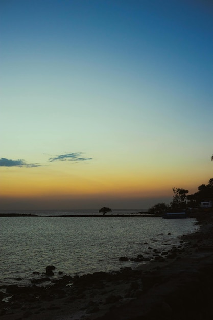 une plage avec un arbre et une maison sur le côté