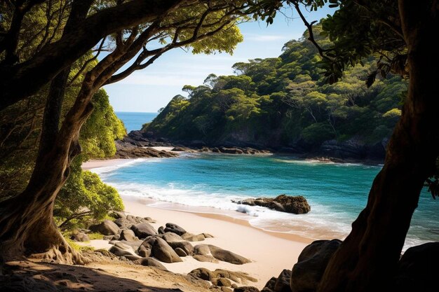 une plage avec un arbre et une plage en arrière-plan