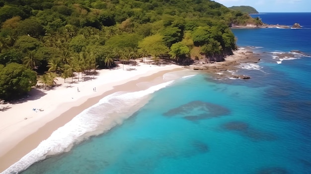 Une plage avec des arbres et de l'eau bleue