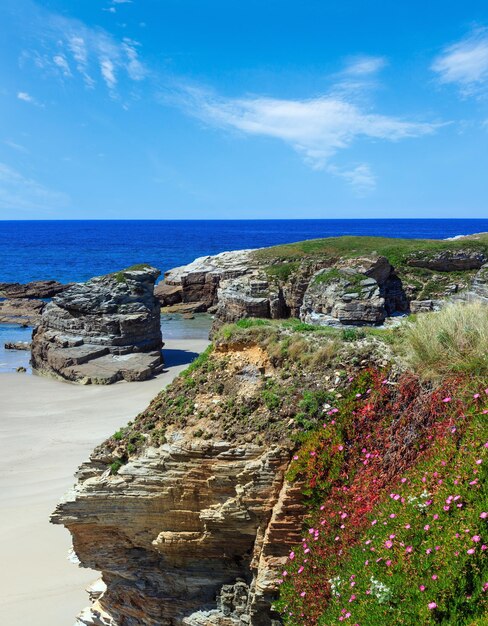 Plage de l'Atlantique en fleurs d'été Islas Galice Espagne avec sable blanc et fleurs roses devant