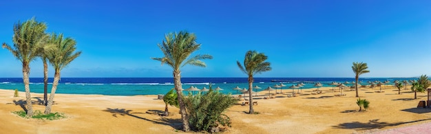 Plage au bord de la mer tropicale avec parasols