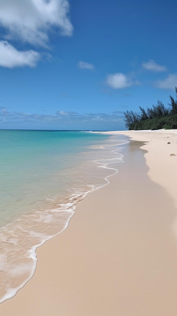 La plage au bout de l'île