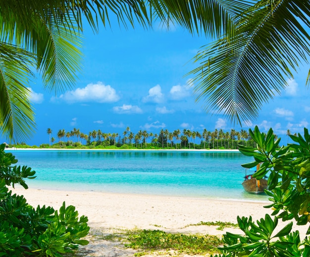 Plage aux Maldives