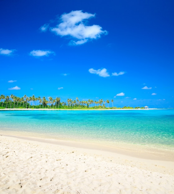 Plage aux Maldives