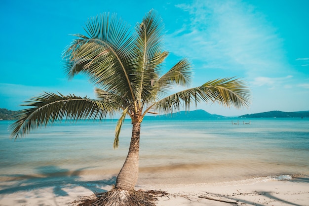 Plage à belle journée d'été ensoleillée. Île de Koh Rong Sanloem, baie de Saracen. Cambodge, voyage de vacances en Asie