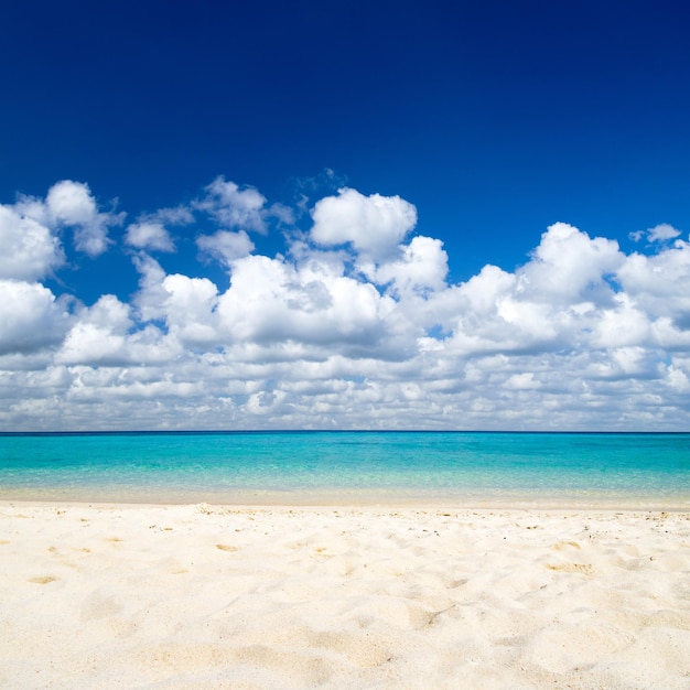 plage et belle mer tropicale