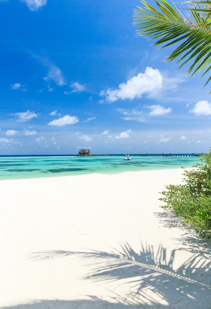 Plage et belle mer tropicale