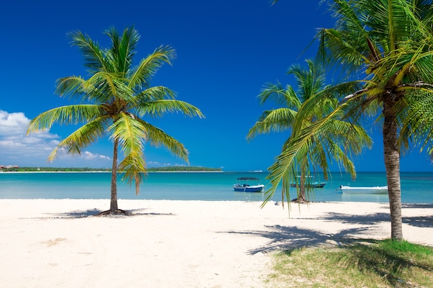 Plage et belle mer tropicale.