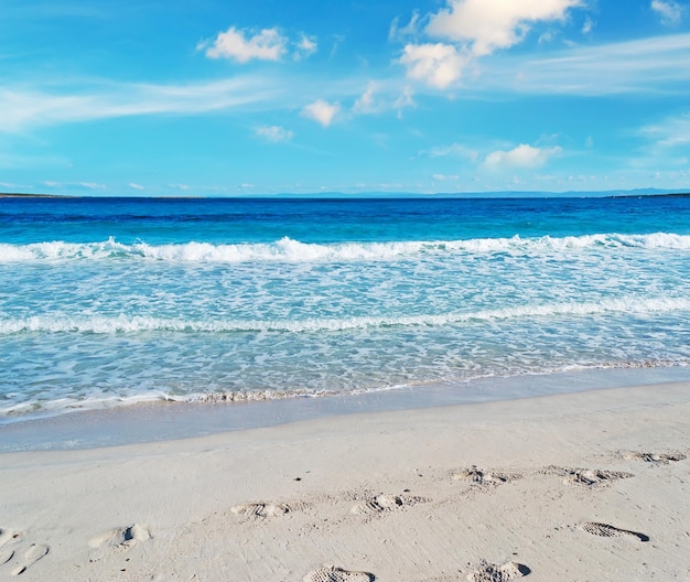 Plage blanche à Stintino Italie