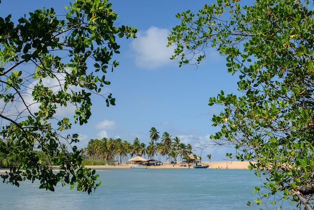 Plage brésilienne et angrove à Barra de Camaratuba Beach près de Joao Pessoa Paraiba Brésil