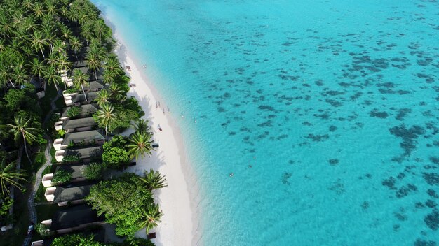 Plage avec bungalows sur pilotis aux Maldives. Vue de dessus