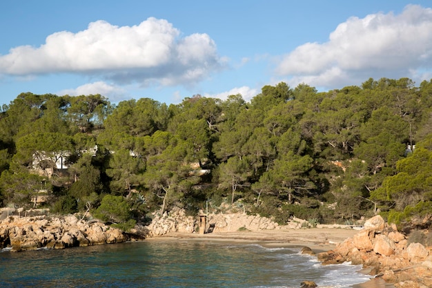 Plage Cala Saladeta Cove, Ibiza, Espagne