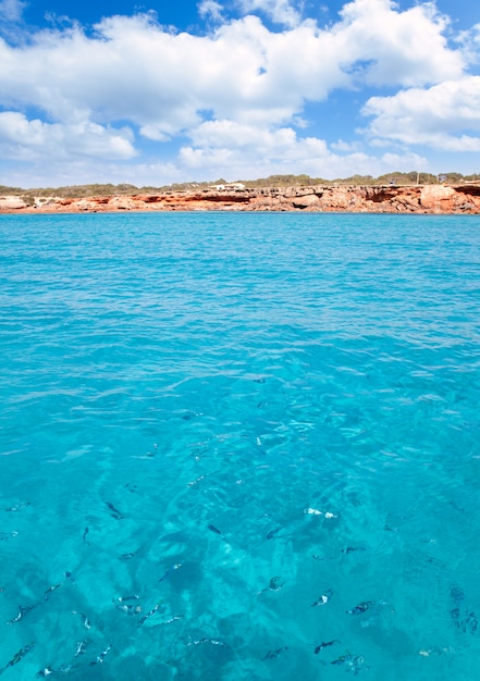 Plage de Cala Saona à formentera avec des poissons