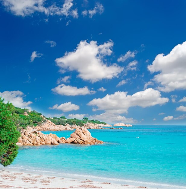 Plage de Capriccioli par temps clair