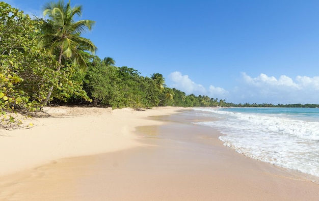 La plage des Caraïbes Martinique