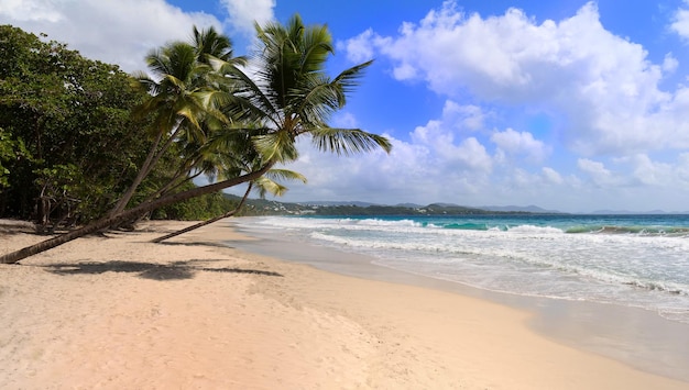 La plage des Caraïbes Martinique