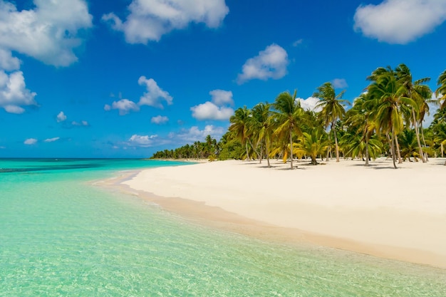 Plage des Caraïbes