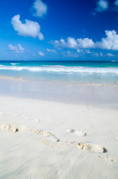 plage des Caraïbes